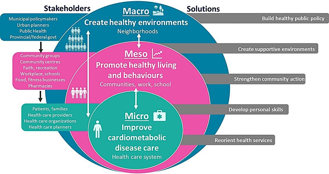 Foundational Research Program | Novo Nordisk Network for Healthy
